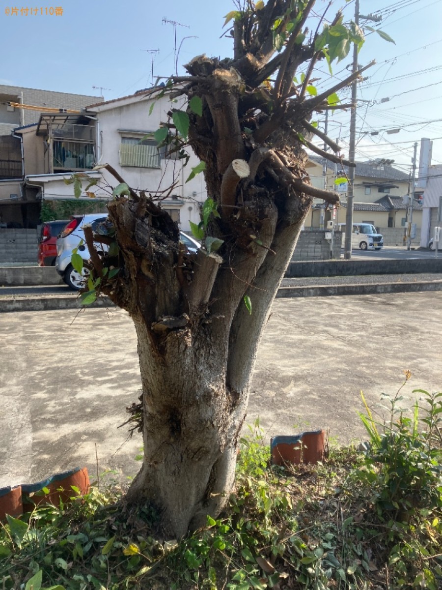 伐採後の木の枝の回収・処分ご依頼　お客様の声